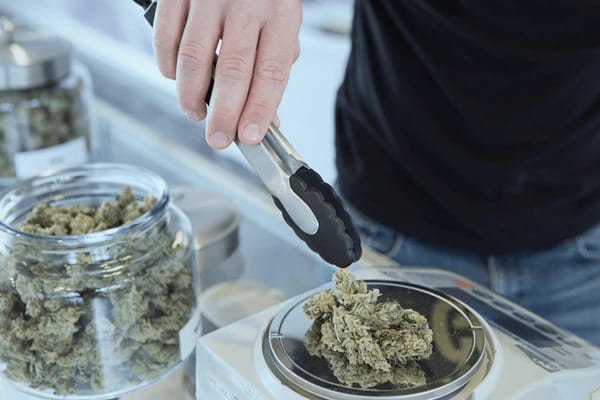 cannabis dispenssary jobs in the united states